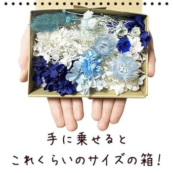 プリザーブドフラワー花材セット　まとめ売り プリザーブドフラワー ボックスフラワー ◇hana cube